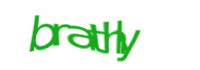 There is supposed to be an image captcha here, you could refresh the page or press the {0} button to try getting another image.