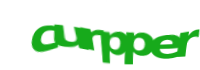 There is supposed to be an image captcha here, you could refresh the page or press the {0} button to try getting another image.