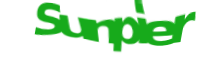 There is supposed to be an image captcha here, you could refresh the page or press the {0} button to try getting another image.